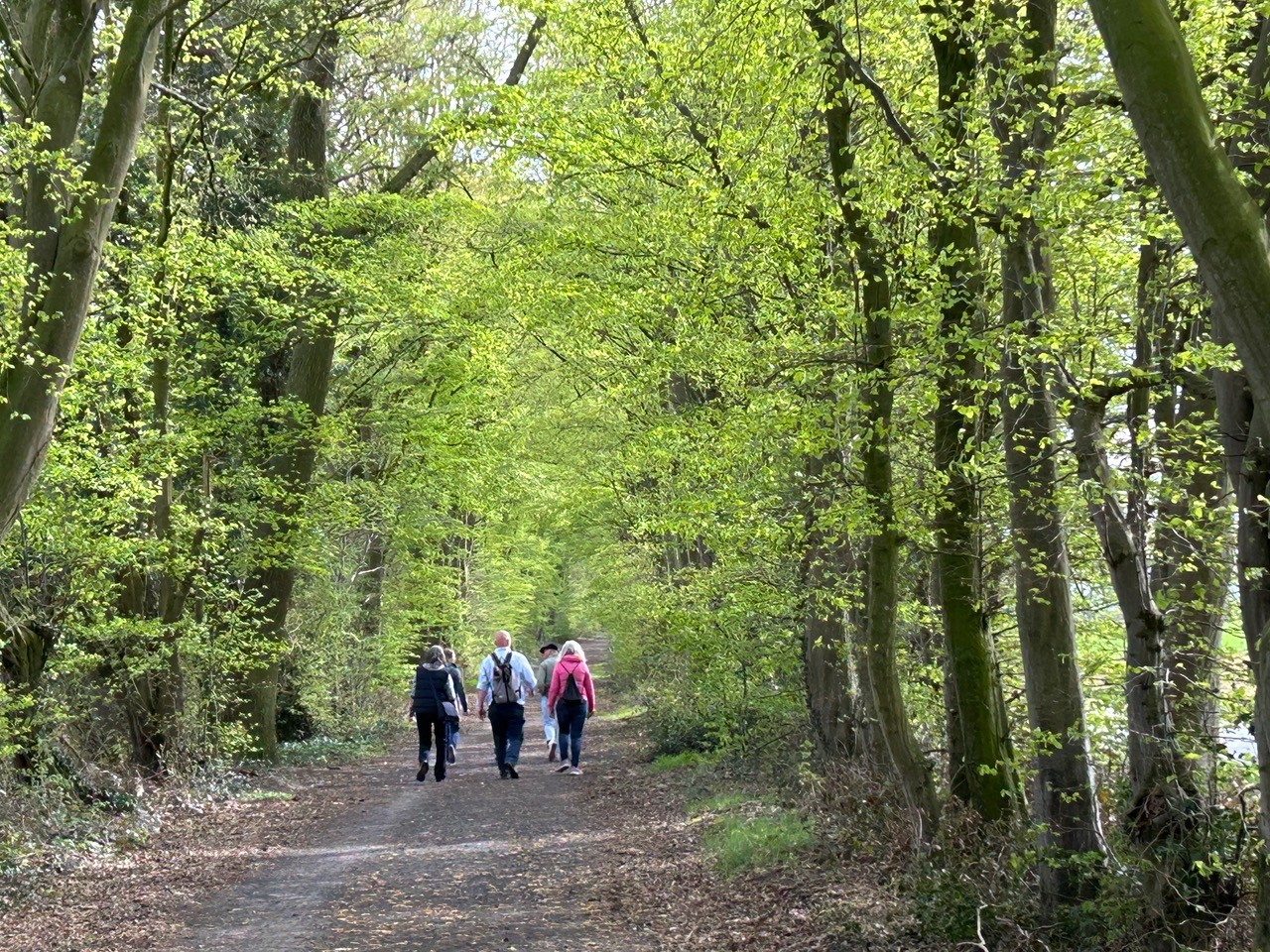 Waldweg